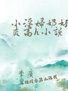 小淫妇奶好大好爽高h小说