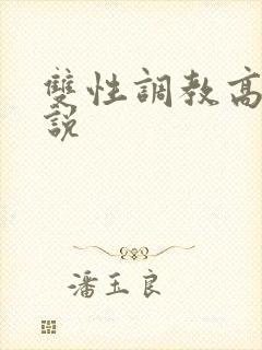 双性调教高h小说