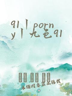 91丨porny丨九色91