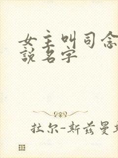 女主叫司念的小说名字
