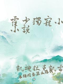 霍少独宠小娇妻小说