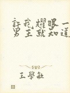 许我耀眼一开始男主就知道女主是谁