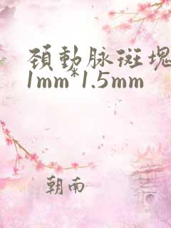 颈动脉斑块5.1mm*1.5mm