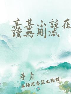 某某小说在线阅读无删减