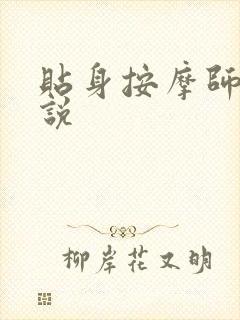 贴身按摩师 小说