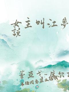 女主叫江梦的小说