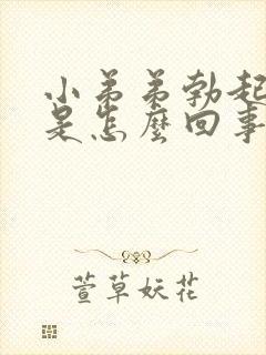 小弟弟勃起不坚是怎么回事