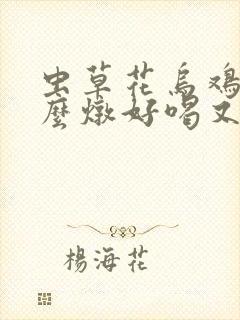 虫草花乌鸡汤怎么炖好喝又营养