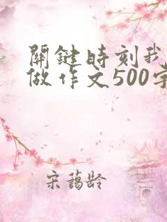 关键时刻我这样做作文500字