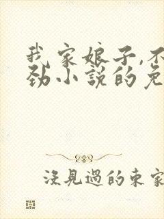 我家娘子,不对劲小说的免费阅读