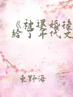 《被退婚后我嫁给了年代文大佬》