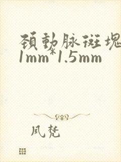 颈动脉斑块5.1mm*1.5mm