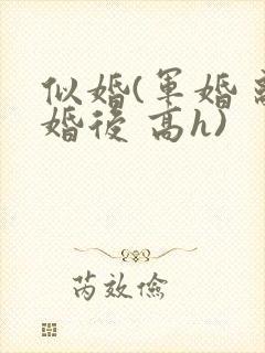 似婚(军婚 离婚后 高h)