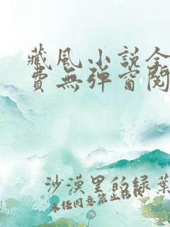 藏风小说全文免费无弹窗阅读