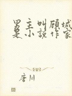 男主叫顾城女主是小说作家的小说