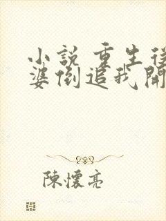 小说 重生从老婆倒追我开始