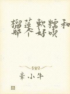 榴莲软糯和干包哪个好吃