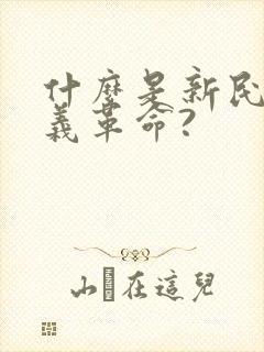 什么是新民主主义革命?