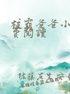 校霸爸爸小说免费阅读