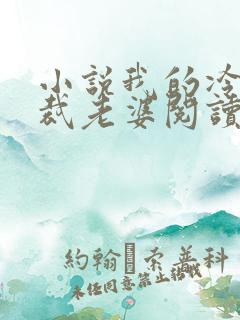 小说我的冷艳总裁老婆阅读