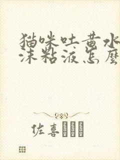 猫咪吐黄水有泡沫粘液怎么办