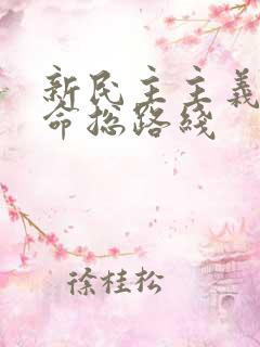 新民主主义的革命总路线