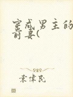 穿成男主的炮灰前妻(