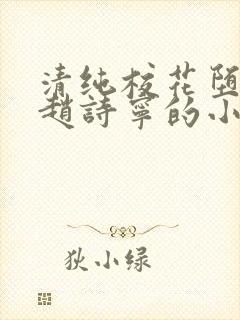 清纯校花堕落记赵诗宁的小说全文阅