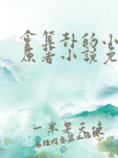 会算卦的小王妃原著小说免费阅读