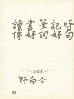 读书笔记呼兰河传好词好句