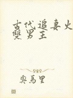 古代追妻火葬场双男主