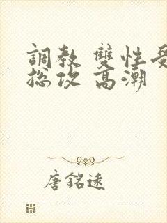 调教 双性受 总攻 高潮