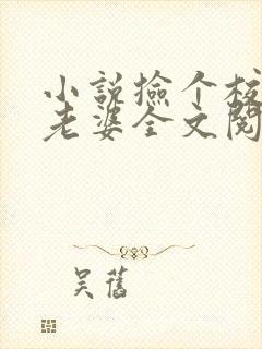 小说捡个校花做老婆全文阅读