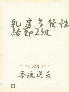 乳房多发性囊性结节2级