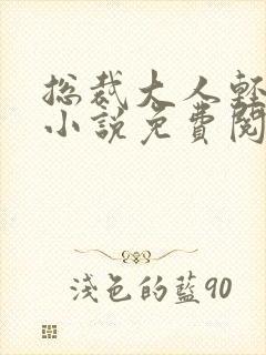 总裁大人轻一点小说免费阅读