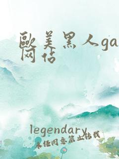 欧美黑人gay网站