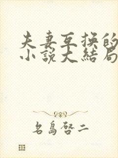 夫妻互换的现言小说大结局