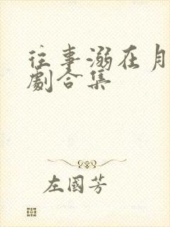 往事溺在月光短剧合集