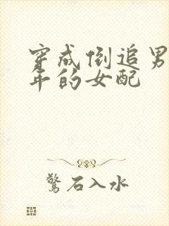 穿成倒追男主多年的女配