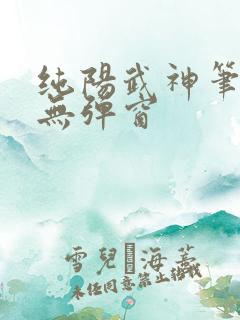 纯阳武神笔趣阁无弹窗