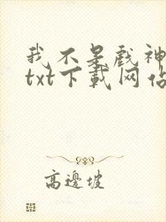 我不是戏神小说txt下载网站