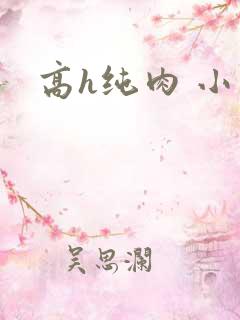 高h纯肉 小说