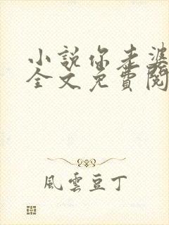 小说你老婆掉了全文免费阅读