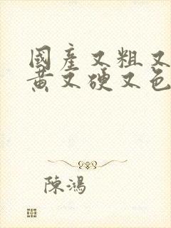 国产又粗又长又黄又硬又色的视频