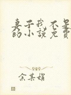 妻子我不是故意的小说免费阅读