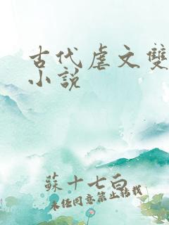 古代虐文双男主小说