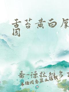 舌苔黄白厚腻原因