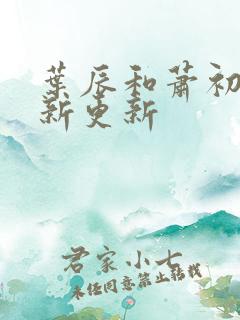 叶辰和萧初然最新更新