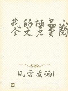 我的极品小姨 全文免费阅读