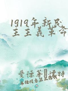 1919年新民主主义革命